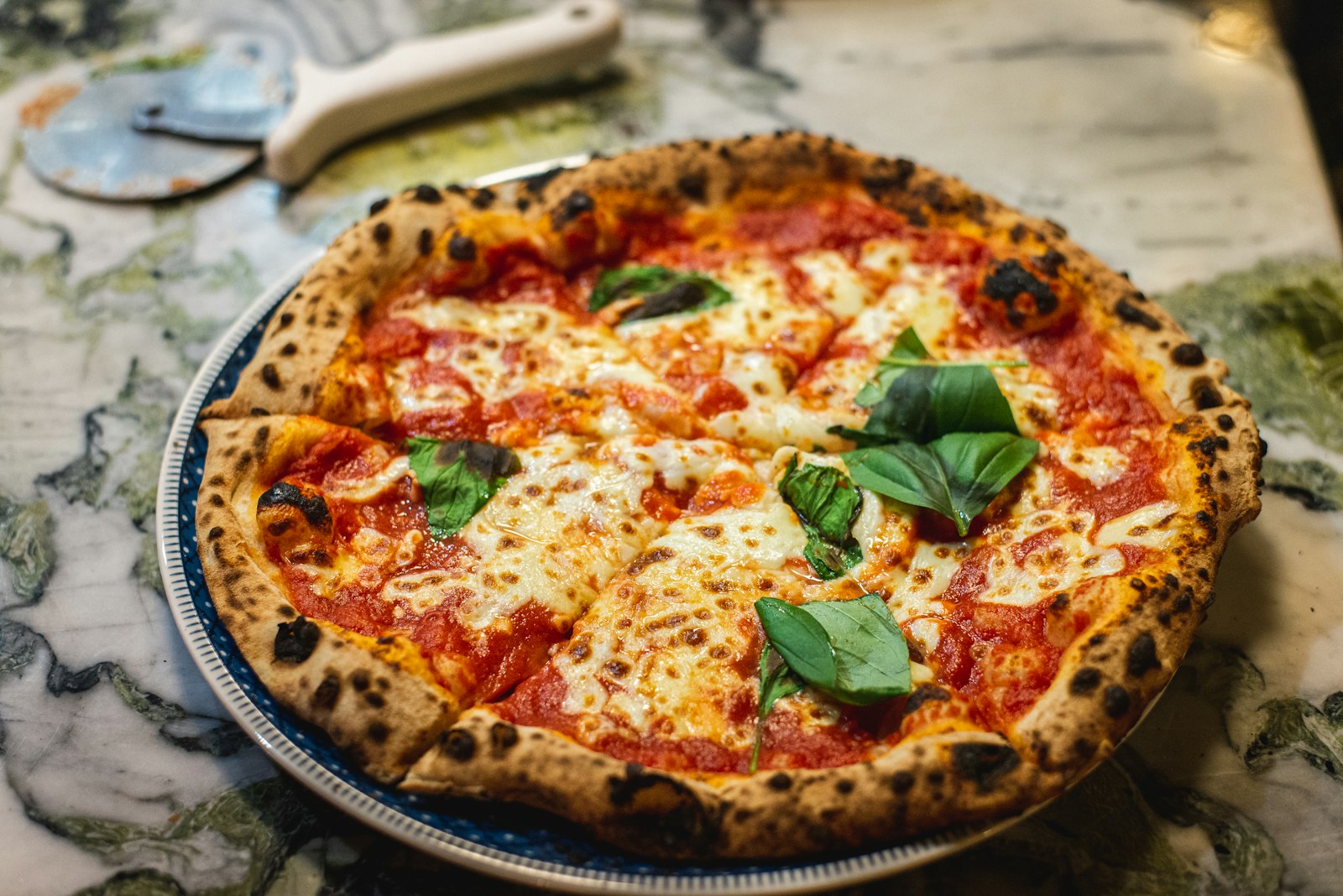 Allegra Trattoria — dining photo 2