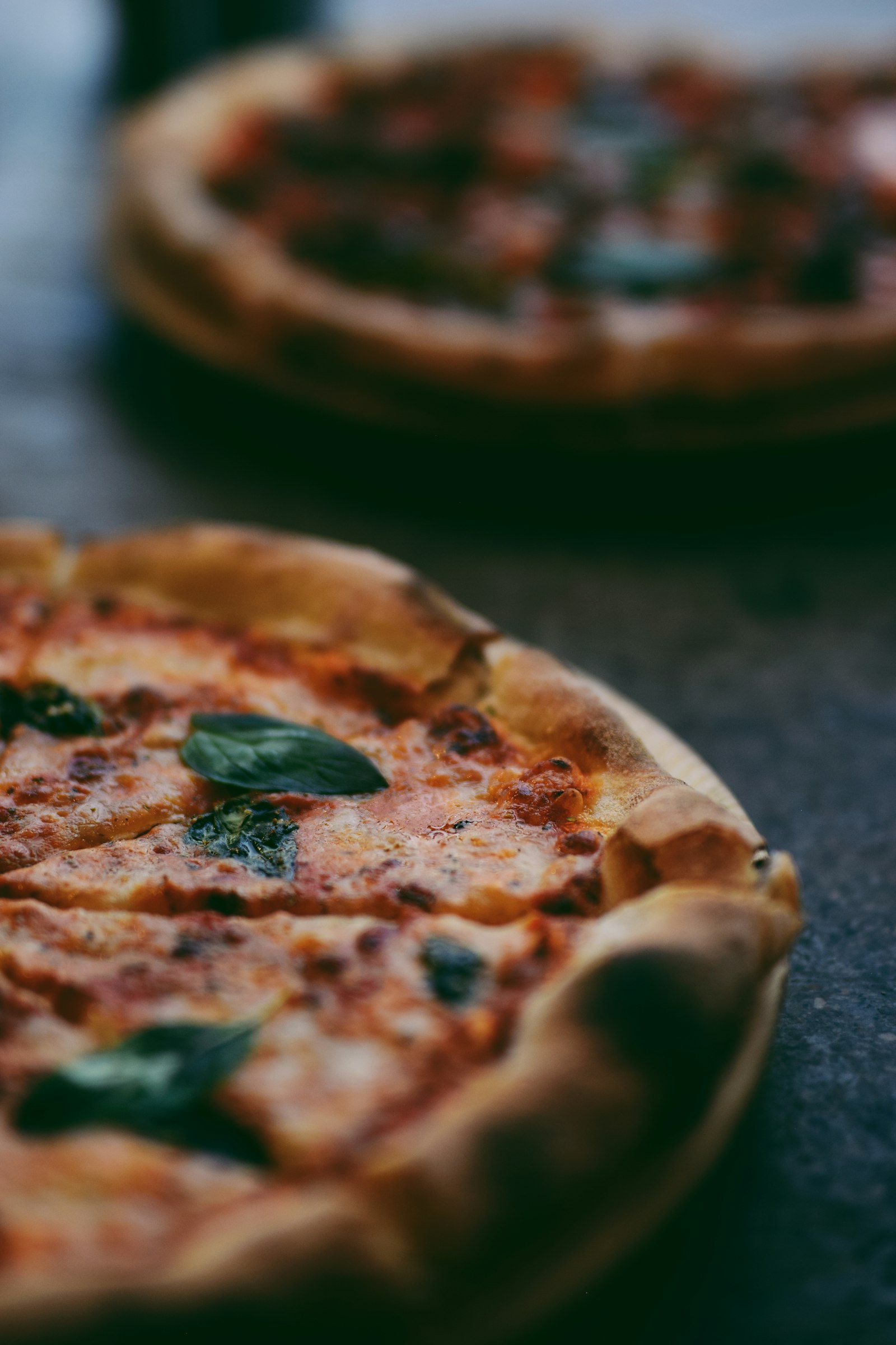 Allegra Trattoria — dining photo 3