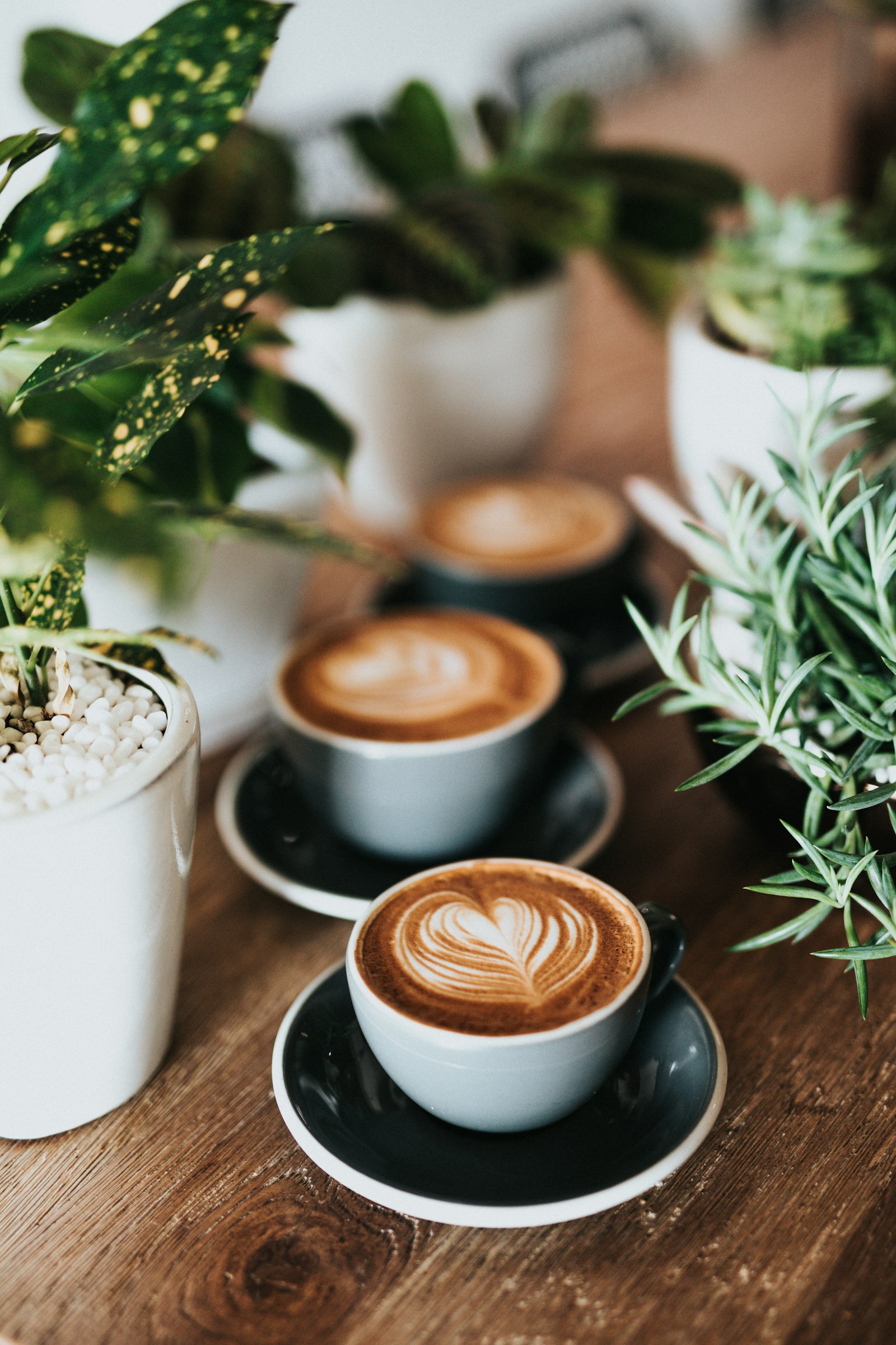 Page Eleven — Cafe & Bakery — dining photo 4
