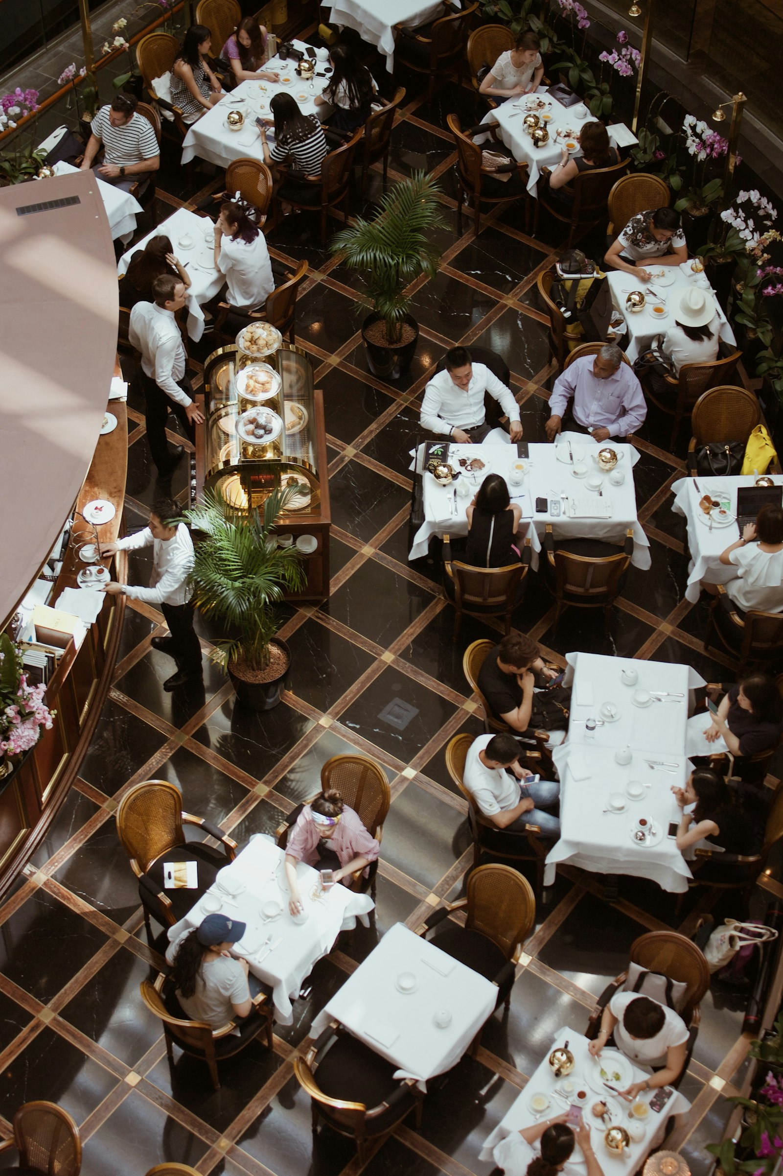The Dome — Rooftop Fine Dining — dining photo 1